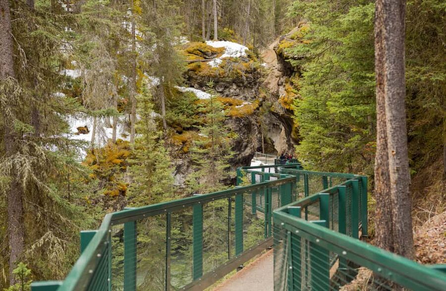 Deep Day Tour to Peyto, Moraine, Louise Lakes, J. Canyon... - Guides matter, and the service here sounds consistently strong