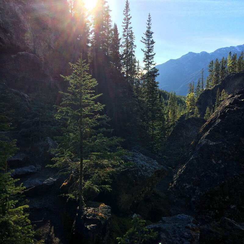 Discover Ancient Pictographs - Guided Canyon Hiking Tour 3H - First stop: Canmore Recreation Centre, then straight into the Rockies