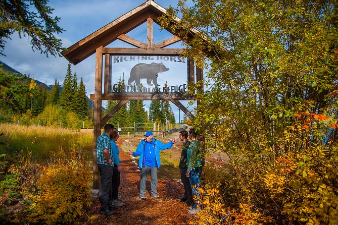 Discover Grizzly Bears from Banff - Why this Banff day trip works for animal lovers