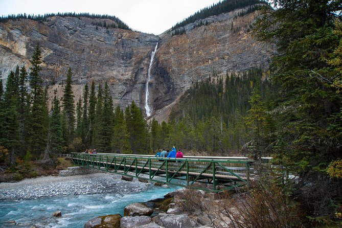 Discover Grizzly Bears from Banff - Stop 2: Kicking Horse Mountain Resort chairlift and the Boo visit