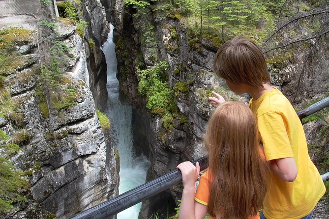Discover Jasper and its Wildlife - What You Might Spot in Jasper (Seasonal, Weather, and Timing Factors)