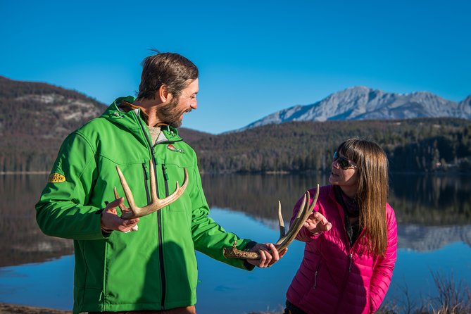 Discover Jasper and its Wildlife - Price and Logistics: Hotel Pickup, Live Commentary, and Small Group Value