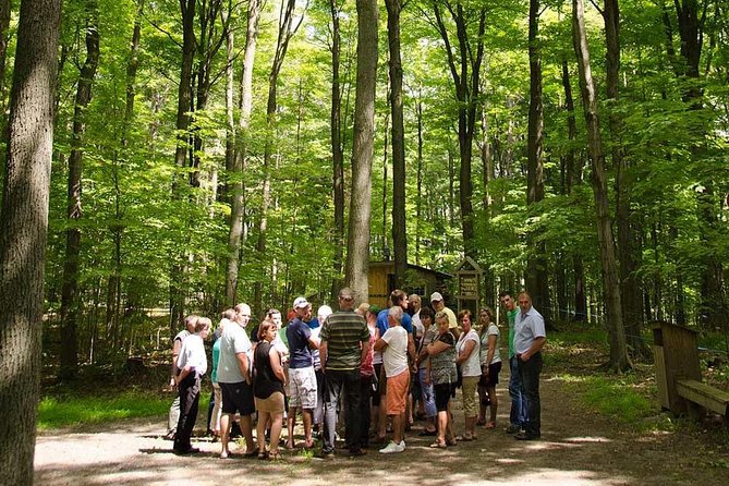 Discover Maple Sugar Bush Tour - Key things to know before you go