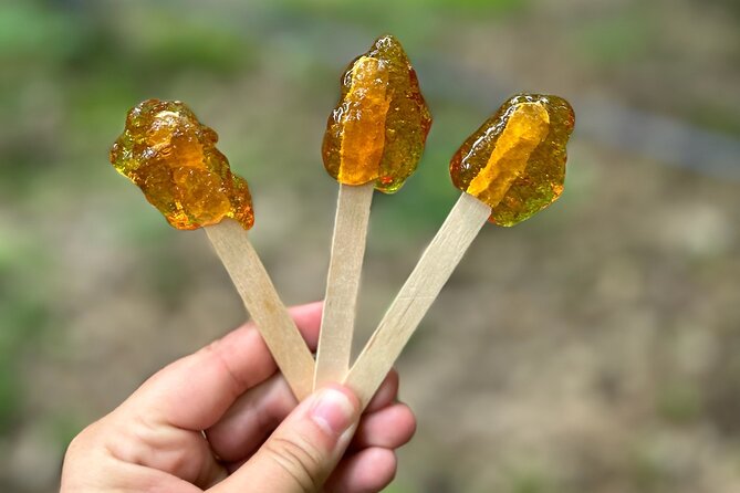 Discover Maple Sugar Bush Tour - Maple sugar bush tours near Niagara, minus the hype