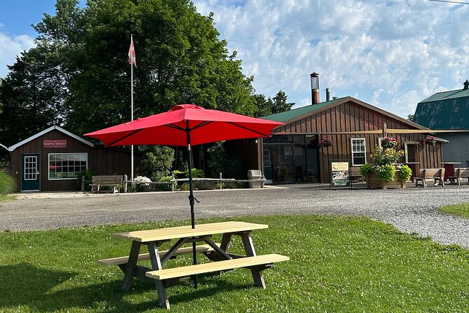 Discover Maple Sugar Bush Tour - The wagon ride into the sugar bush: a walk you can actually do