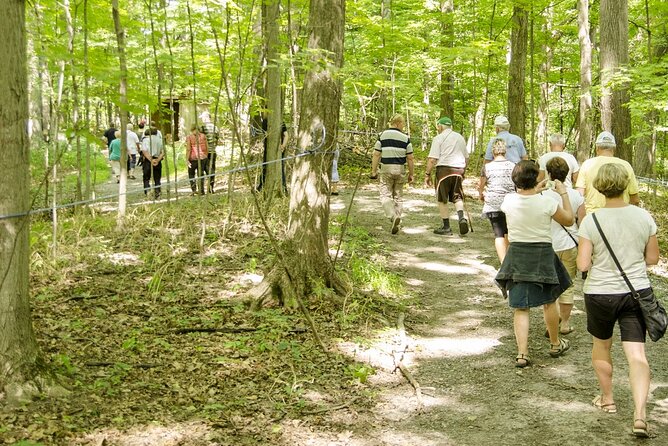 Discover Maple Sugar Bush Tour - Learning the science of color, flavor, and Ontario character