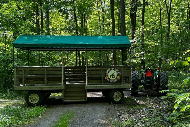 Discover Maple Sugar Bush Tour - The included Taffy-on-Snow: the sticky payoff