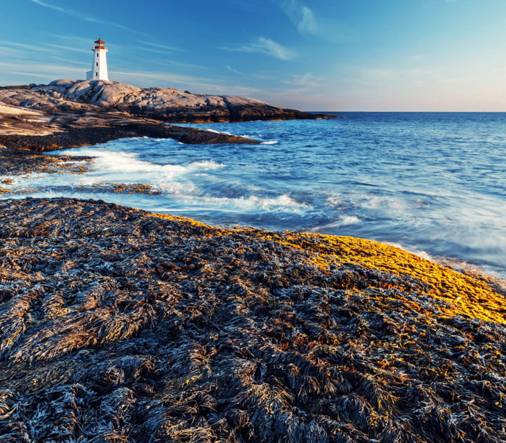 Discover Peggy's Cove: Private Journey from Halifax - Pickup in Halifax Regional Municipality, cruise-first convenience