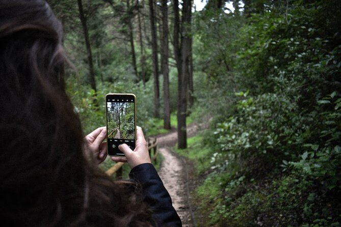 Discover the Lake Agnes Tea House Trail with an Audio Nature Tour - Value Check: Is $8.22 a Good Deal for This App-Guided Hike?