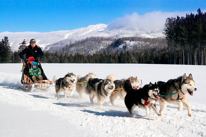 Dogsled Diable Adventure in Mont-Tremblant - On the trail for about 1 hour: views, pacing, and what to watch for