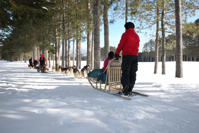 Dogsled Diable Adventure in Mont-Tremblant - Kennel visit and yurt finale: treats, brushing, and puppy season