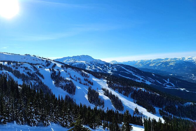Downtown Vancouver to Whistler Private Transfer - Price and Value: What $455.58 Buys You