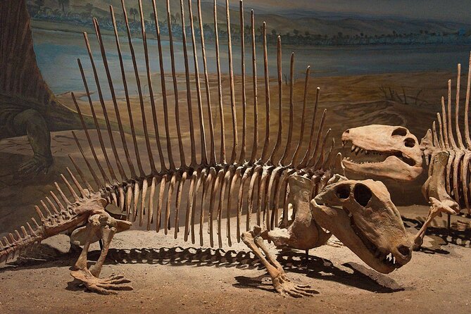 Drumheller and Badlands Full-Day Tour with a Small Group - Royal Tyrrell Museum: Paleontology in 2 Hours, With Some Walking