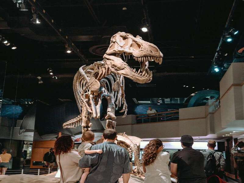 Drumheller: Bad Land & Dinosaur Museum Tour from Calgary - Should you book this Drumheller dinosaur and hoodoo day trip?