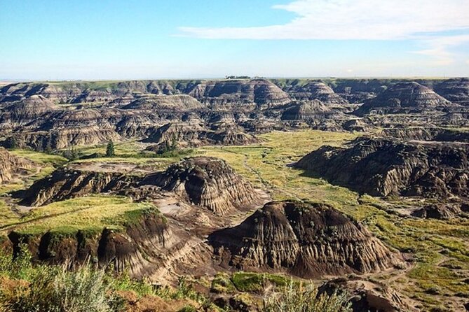 Drumheller Dinosaur Valley & Horseshoe Canyon Adventure Day Tour - Hoodoos: mushroom rocks, capstones, and the story behind the shape