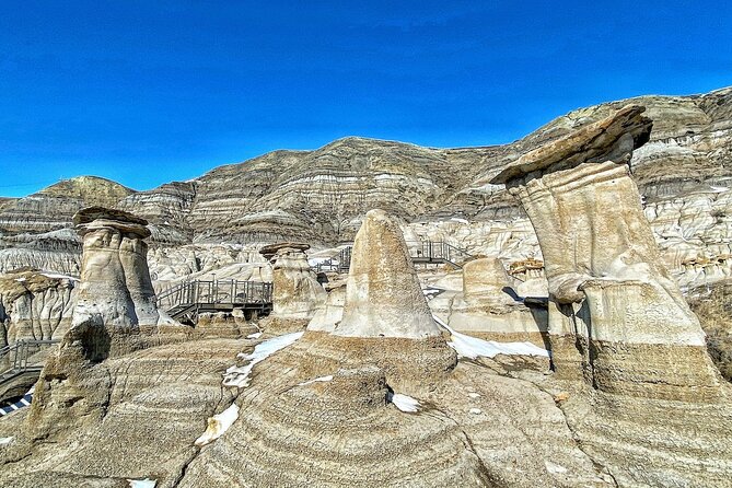 Drumheller Dinosaur Valley & Horseshoe Canyon Adventure Day Tour - Price and value: what you are really paying for at $111.64