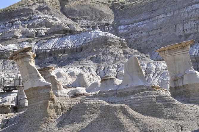 Drumheller Dinosaur Valley & Horseshoe Canyon Adventure Day Tour - Comfort, pacing, and the bus reality