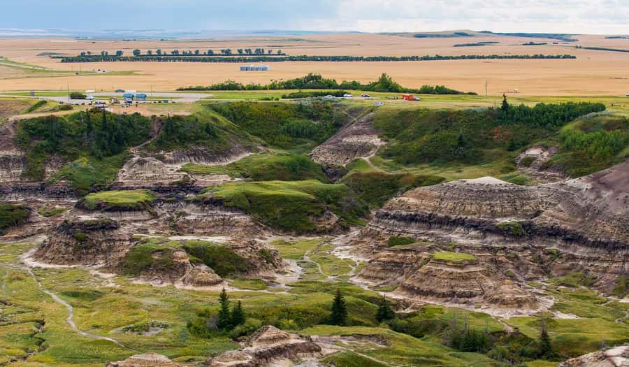 Drumheller: Dinosaurs, Canyons, & Hoodoos Day Tour - Royal Tyrrell Museum: Canada’s dinosaur fossil star