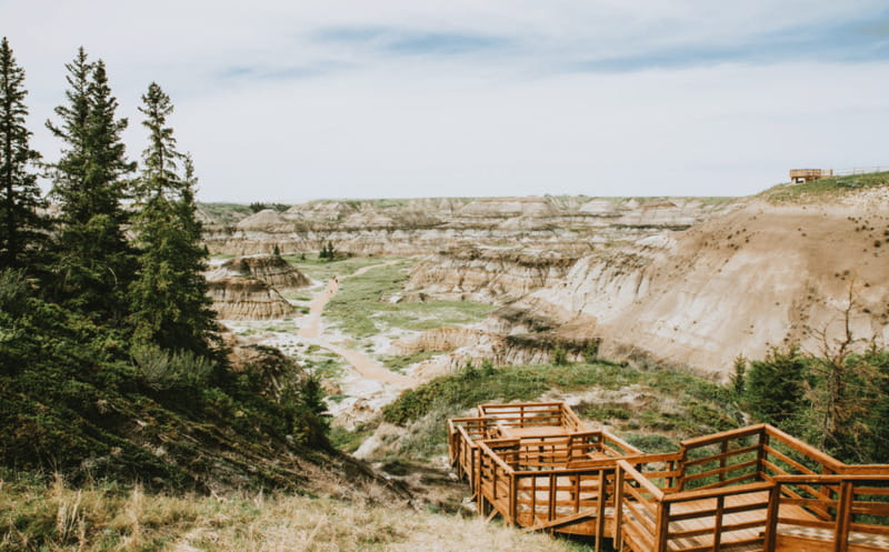 Drumheller: Dinosaurs, Canyons, & Hoodoos Day Tour - Lunch stop timing and how to handle the 30-minute window
