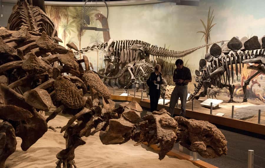 Drumheller: Dinosaurs, Canyons, & Hoodoos Day Tour - Who should book this Drumheller day tour?
