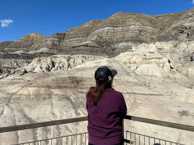 Drumheller Full-day Private Sightseeing Tour - Drumheller in one day, without the hassle