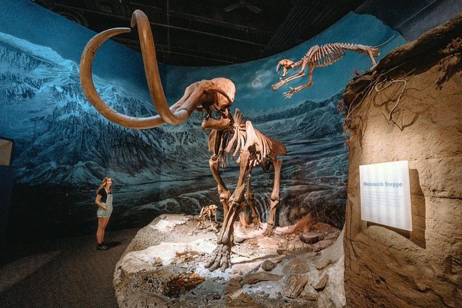 Drumheller: Royal Tyrrell Museum, Hoodoos and Horseshoe Canyon - Key things to know before you go