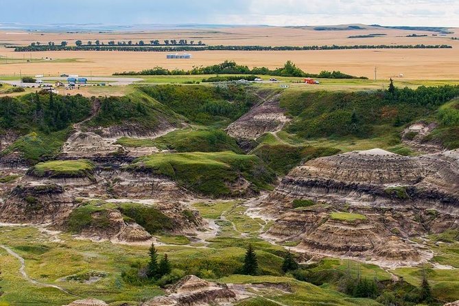 Drumheller: Royal Tyrrell Museum, Hoodoos and Horseshoe Canyon - Drumheller’s Tyra: the roadside dinosaur that grows on you