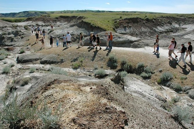 Drumheller: Royal Tyrrell Museum, Hoodoos and Horseshoe Canyon - CrossIron Mills at the end: practical shopping, not everyone’s favorite