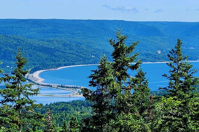 East Cabot Trail Coastal Drive and Cape Breton Highlands - Clucking Hen Cafe and Bakery (Seasonal May to October): Where Lunch Might Happen