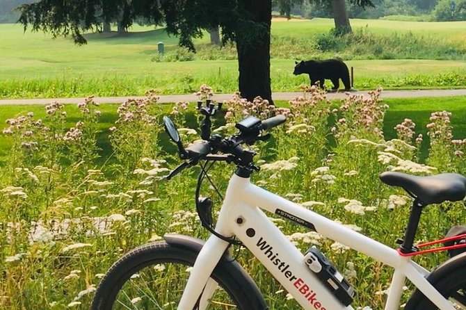 eBike Adventure in Whistler - Key Points I’d Highlight Before You Book