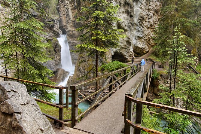 eBike and Hike Banff to Johnston Canyon small group guided program - Wildlife moments, plus why spotting is never guaranteed