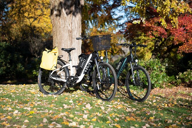 eBike Rentals in Kelowna - Service and advice: meet the owner and get your bearings fast