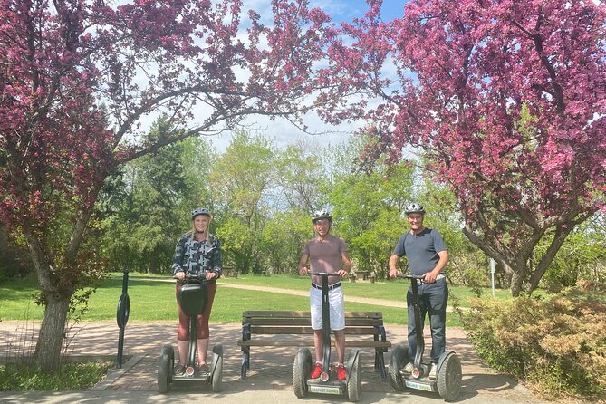 Edmonton River Valley 60-Minute Segway Adventure - The 60-minute River Valley glide: seeing more park without the grind