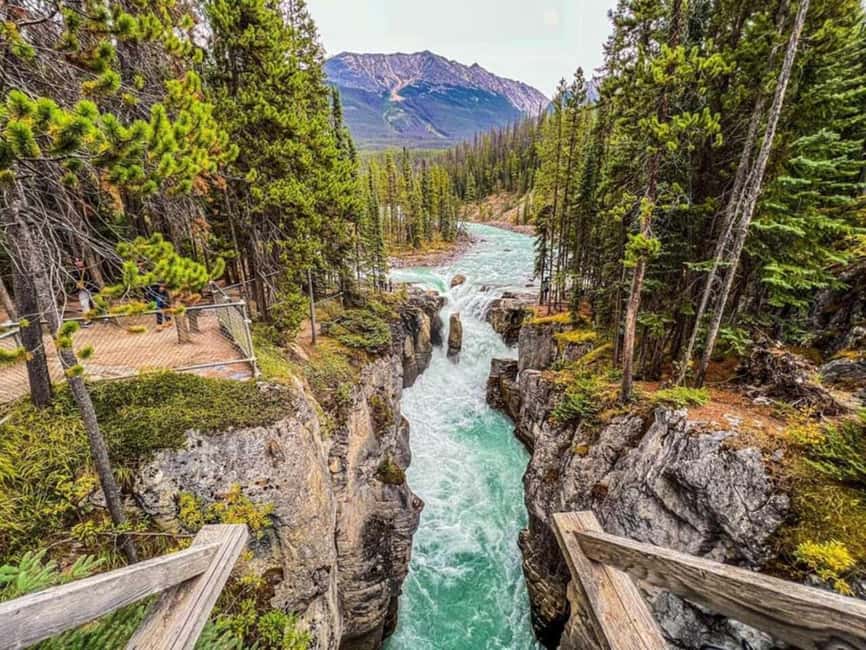 Emerald Lake, Lake Louise, Johnston Lake & Banff Gondola - Lake Louise and Emerald Lake: the classic stops, with enough time to enjoy them
