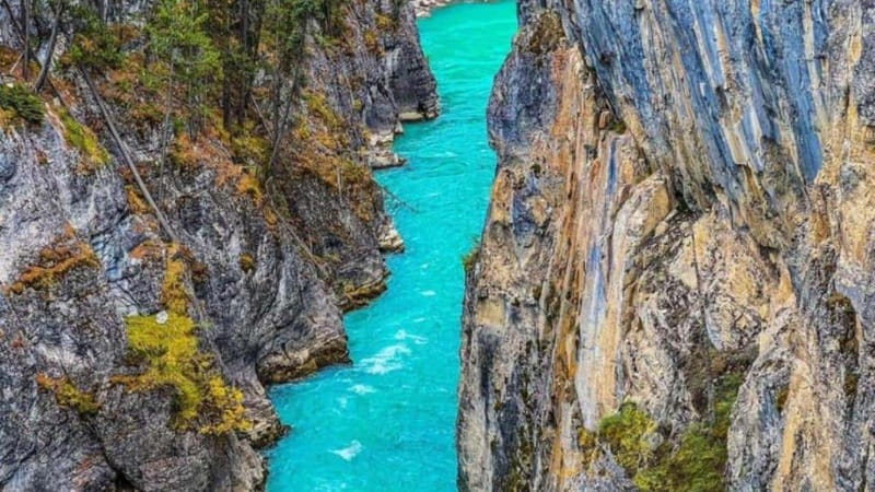 Emerald Lake, Moraine, Louise, Johnston Canyon & Banff Town - Lake Louise Shore Time, Glacier Views, and What 50 Minutes Can Do