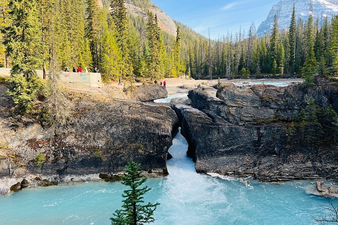 Emerald Lake,Natural Bridge, Wapta Falls & Takakkaw Falls in Yoho - What I like most: guides and smart pacing