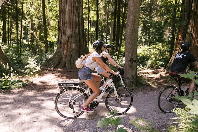Epic Electric Bike Tour by Cycle City Tours - Price and value: what $118.56 buys you in real time