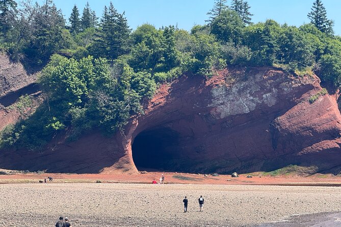 Exclusive Sightseeing Tour in Saint John - Key highlights you should care about