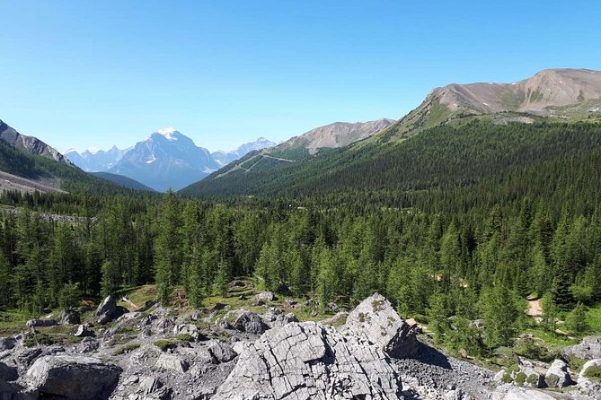 Exclusive Skoki Backcountry Guided Hiking in Lake Louise with Van Shuttle - Getting to the trail fast: van shuttle and the 8:20 am start