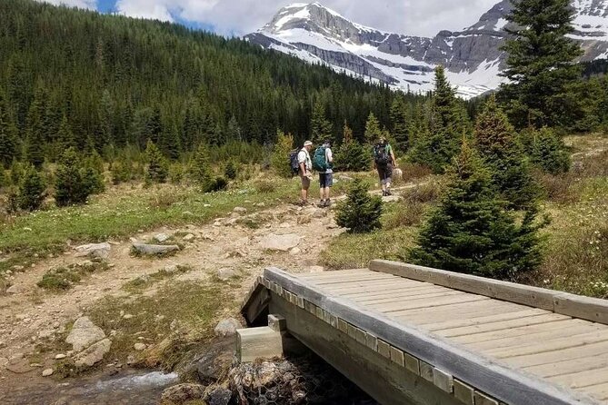 Exclusive Skoki Backcountry Guided Hiking in Lake Louise with Van Shuttle - Weather and what to bring: layers, rain gear, and proper boots