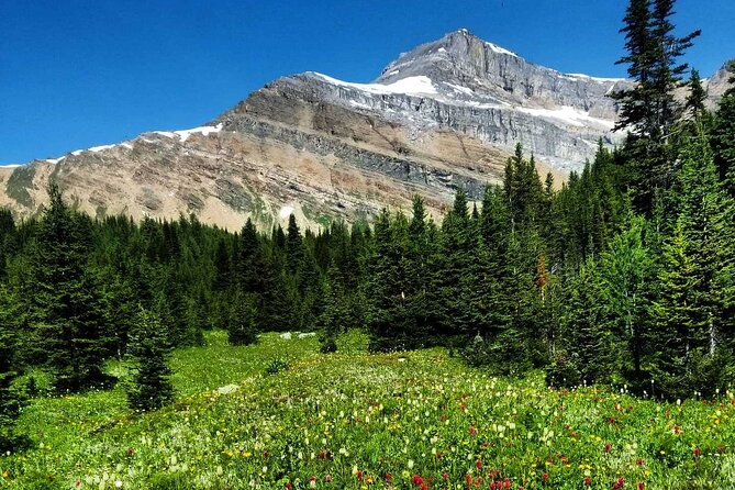 Exclusive Skoki Backcountry Guided Hiking in Lake Louise with Van Shuttle - Price and value: what $154.42 buys you in the real world