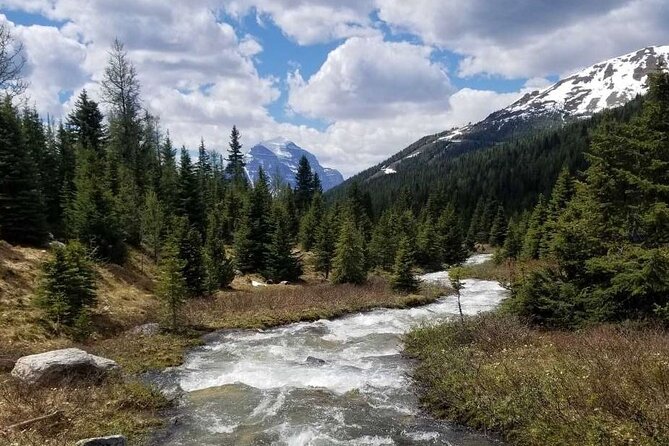 Exclusive Skoki Backcountry Guided Hiking in Lake Louise with Van Shuttle - Who should book this Skoki guided hike, and who should think twice