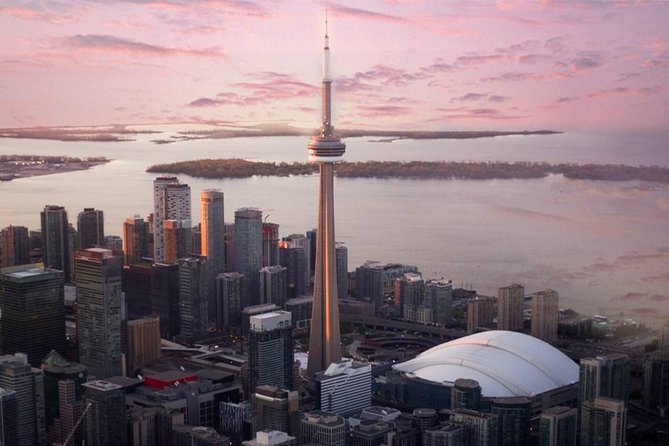 Exhilarating 120km Aerial Tour of Toronto with iflyTOTO - Inside the 8-seat plane: comfort, noise, and window reality