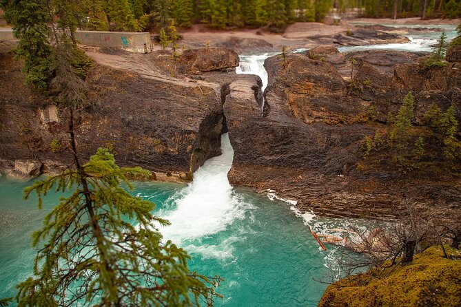 Explore 3 National Parks - Exclusive Small Group Tour - A small-group Rockies day that saves you from planning stress