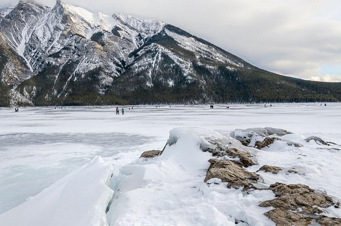 Explore Banff + Wildlife - How the Guides Boost Your Wildlife Odds