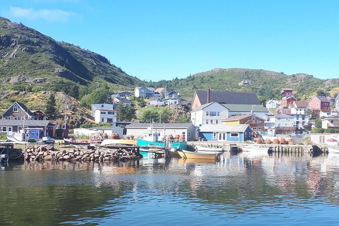Explore St. John's Scenic Bus Tour to Cape Spear and Quidi Vidi - Petty Harbour: outport life in a quick, calm window