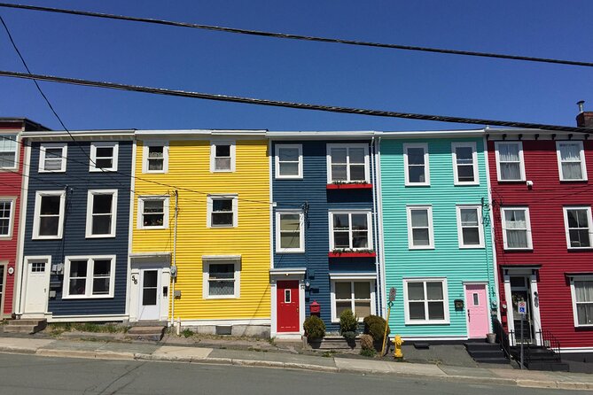 Explore St. John's Scenic Bus Tour to Cape Spear and Quidi Vidi - Guides and narration: why the best part can be the person at the front