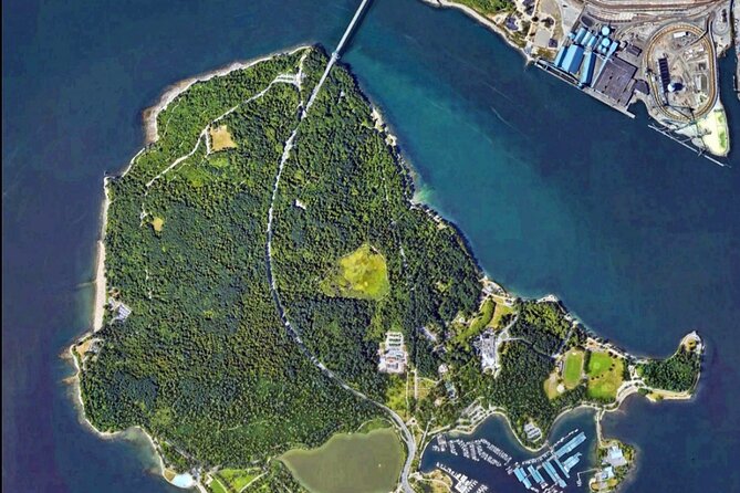 Explore Stanley Park on Electric Scooters - Safety and scooter comfort on real park trails