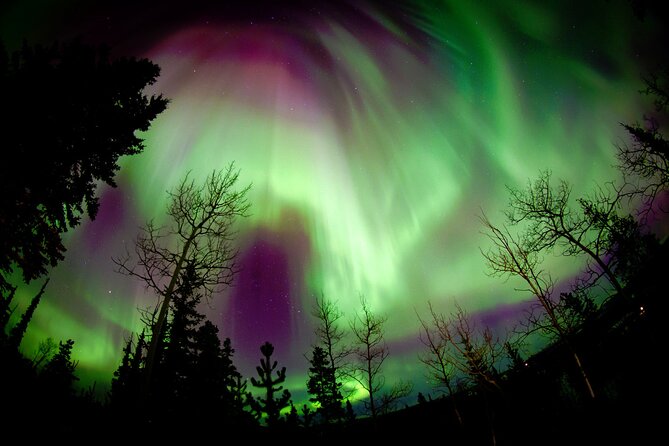 Fall Color Tour in Yukon from Whitehorse - Getting picked up, then living the lodge schedule
