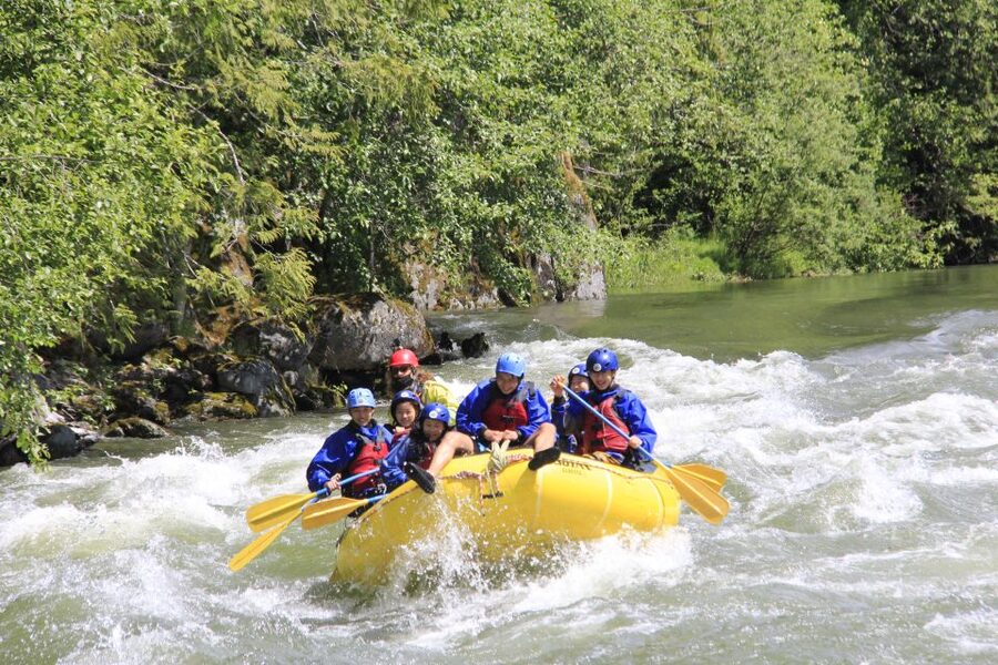 Family-Friendly Cheakamus Splash - The Cheakamus River itself: gentle rapids, wildlife sightings, and real paddling